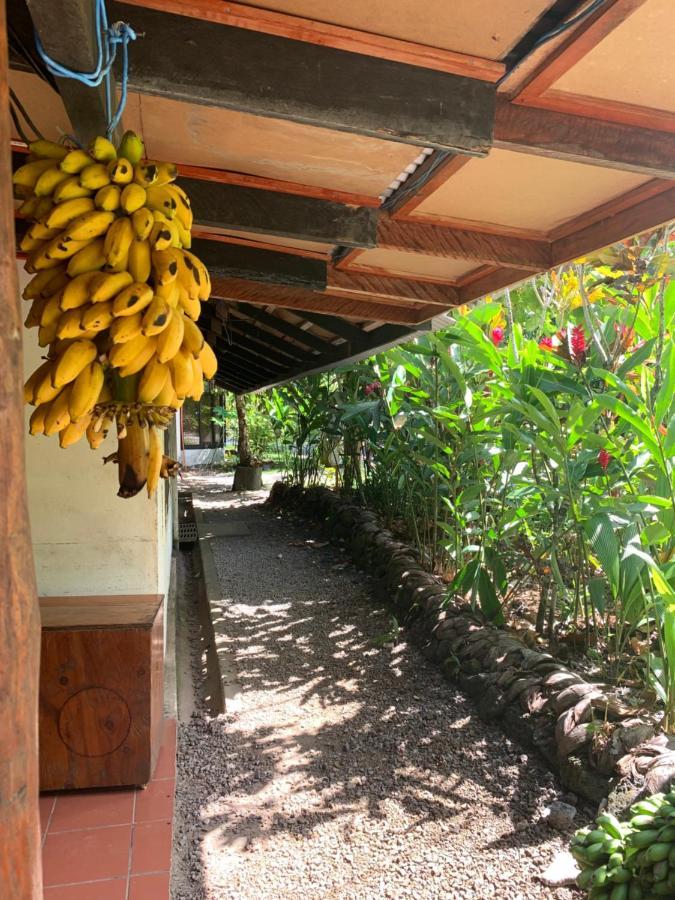 Lusia'S Lagoon Chalets Salelologa 外观 照片