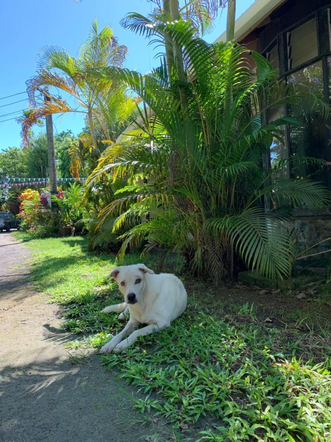 Lusia'S Lagoon Chalets Salelologa 外观 照片