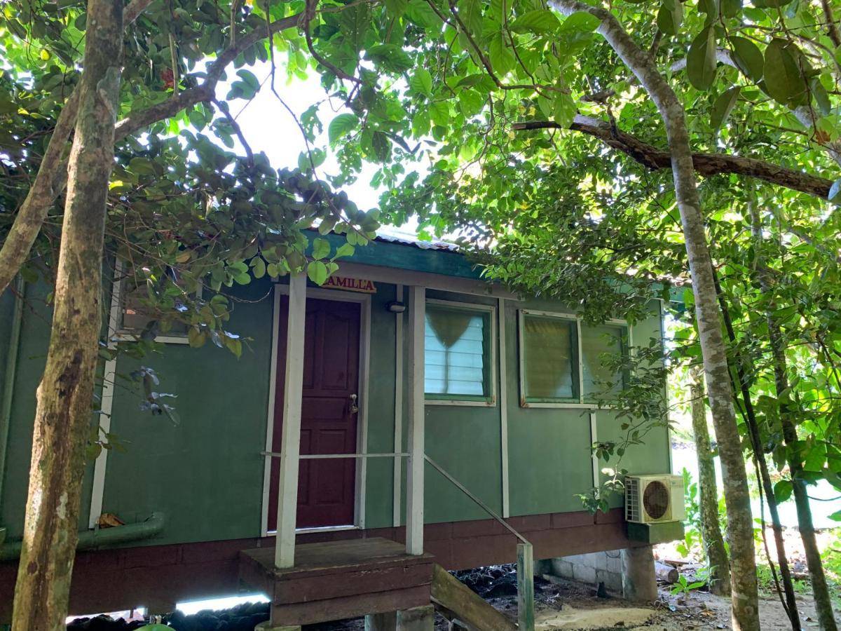 Lusia'S Lagoon Chalets Salelologa 外观 照片
